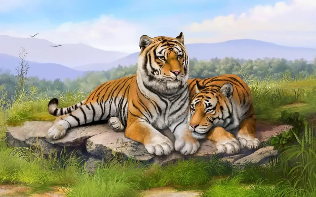 Tiger Compatibility in Love